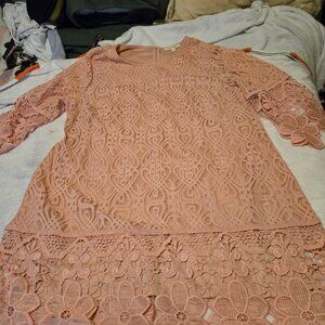 Pink Lace Sheath with Bell Shevles 3X
